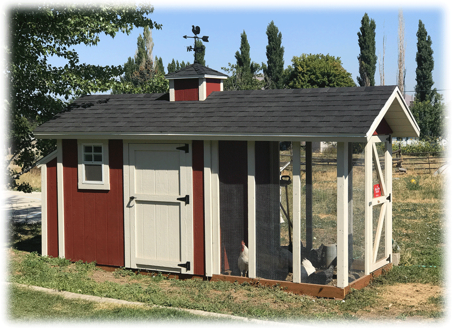 A 6 foot by 14 foot red and white coop de'ville chicken coop with a cupola and rooster weathervane