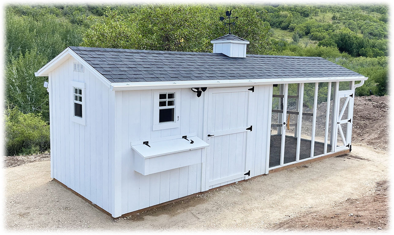 8'x 20' Custom Coop with Run and cupola
